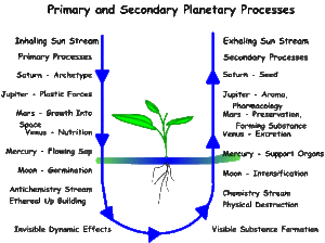 Planetary forces in Vowels and plant etheric vegetation
