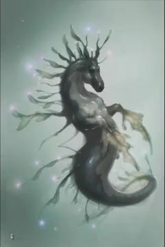 part 4 sea horse 1