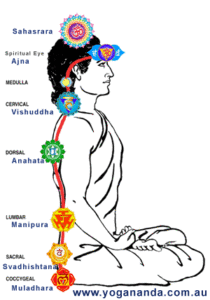 part 4 spine chakras and sitar astral and etheric tuning