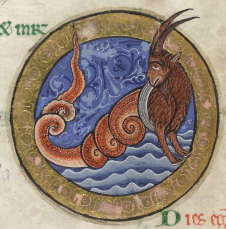 spiral capricorn